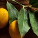 Sucuri naturale NFC